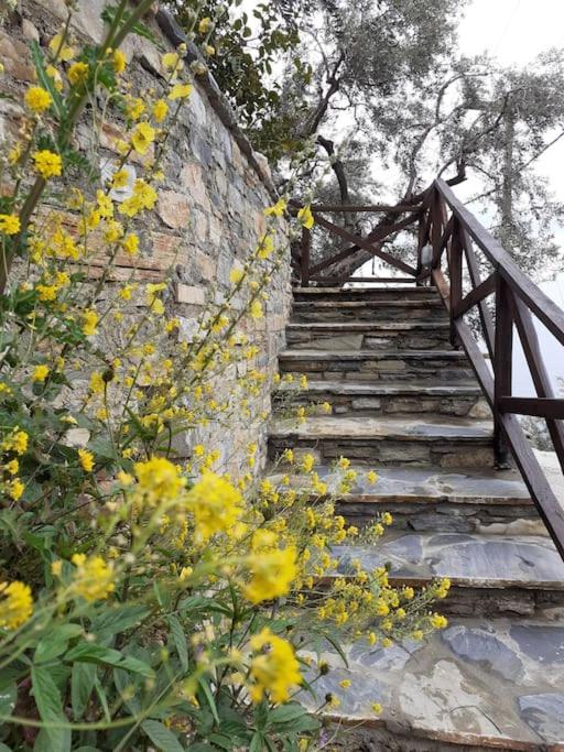 Limnionas Sunview Villa Xoríhti Kültér fotó